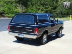 Thumbnail Photo 16 for 1983 Dodge Ramcharger AW 100 4WD